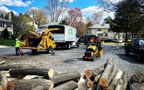 Best Tree Mulching  in Oceanport, NJ